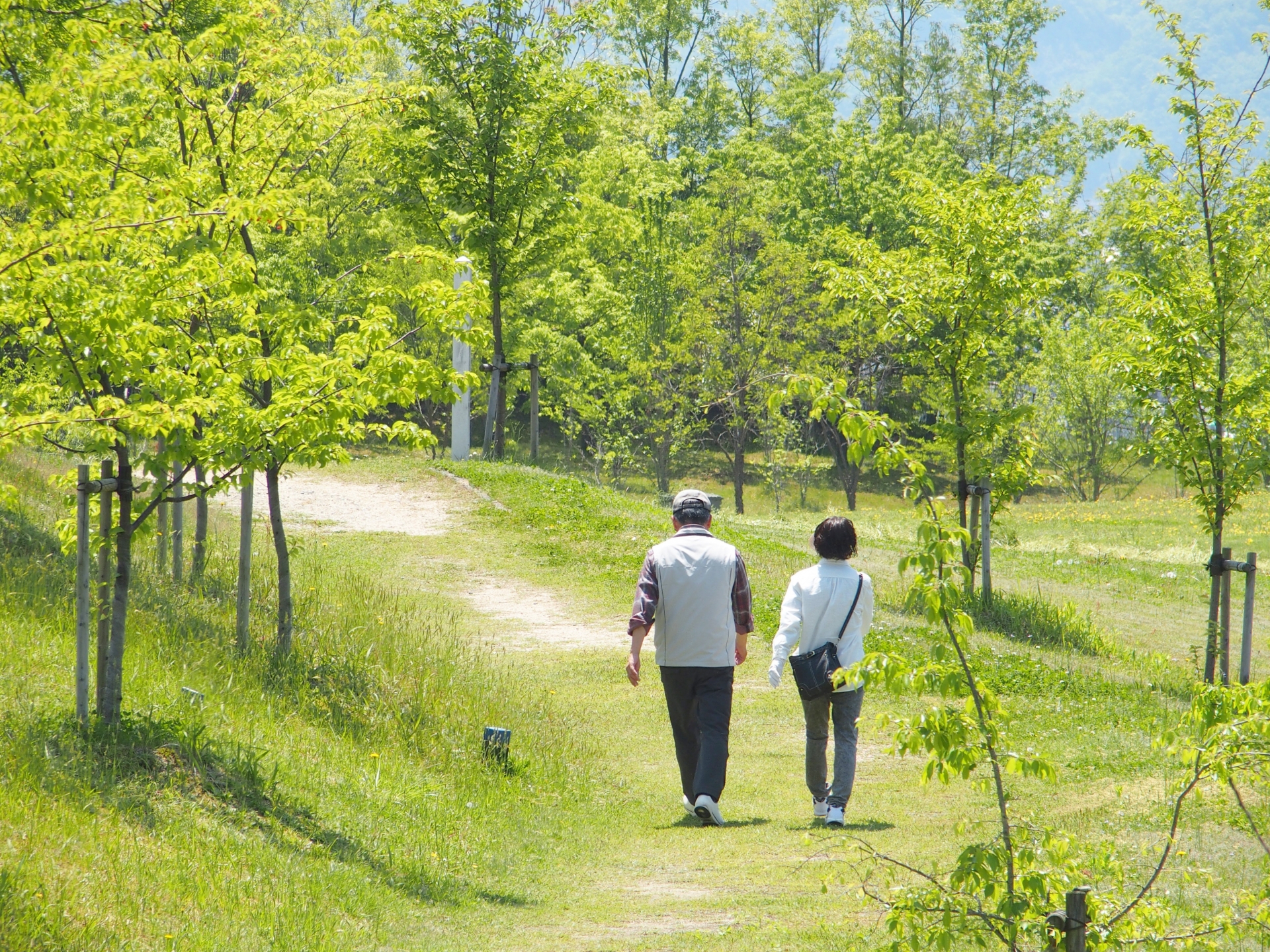 介護・福祉施設ホームページ